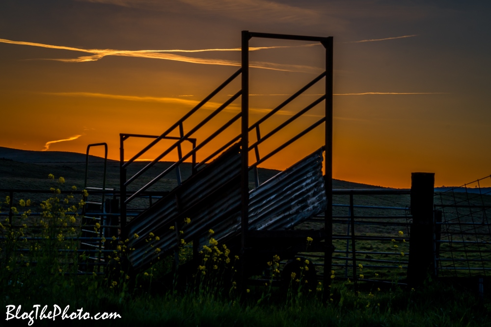 Dawn light at fence