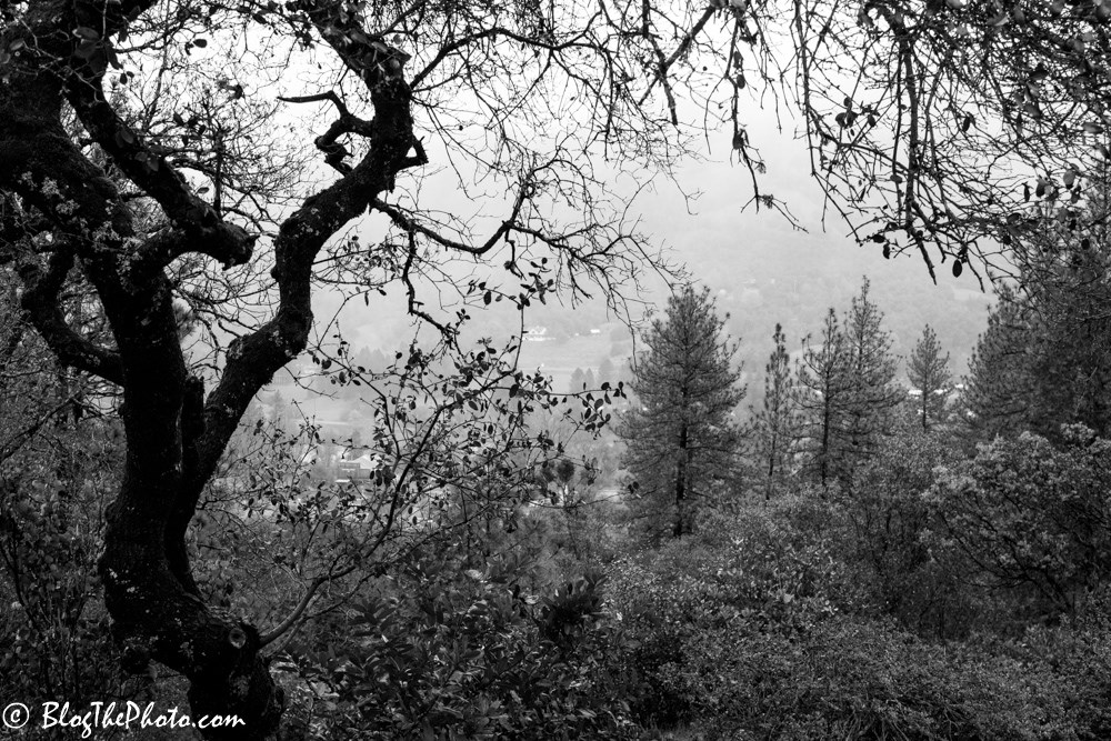 James Marshall Monument at Coloma California